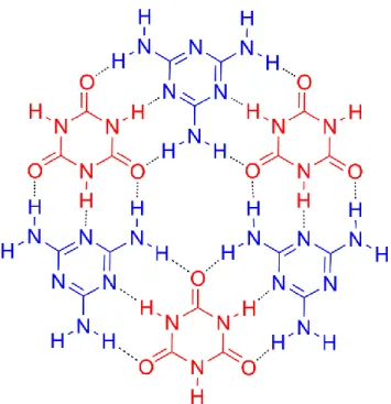 Figure 2. Hexameric motif constituting the CA-M binary network stabilized by H-bonding