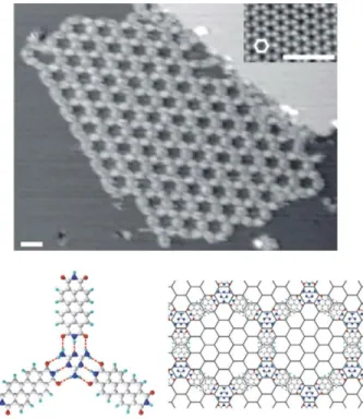 Figure  3.  Top:  STM  image  of  the  PTCDI-M  network.  Scale  bar:  5  nm.  Bottom:  PTCDI-M  H–bond arrangement 