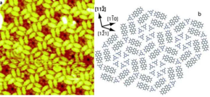 Figure  5.  (a)  One  chiral  nanodomain  composed  of  PTCDI-M  (ratio  3:4)  on  Au(111)  as  imaged  by  STM,  the  M 