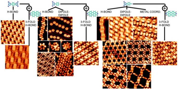 Figure  11.  Mono-  and  bicomponent  self-assembly  of  BDATB,  6-phenyl-DAT  (PhDAT),  6-(4’-cyanophenyl)-DAT  (CPhDAT) (see Fig