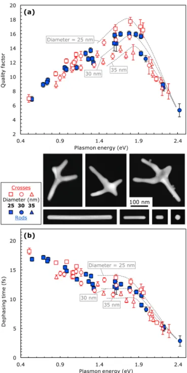 Figure 3 also includes information on the geometry of the part- part-icles. The particle diameters from the measured gold nanorods (blue