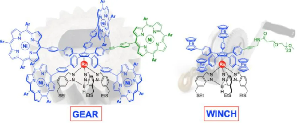 Fig.  1 Targeted  new  rotative  molecular  machines for on-surface  mechanical  studies:  a  dissymmetric  gear and a winch