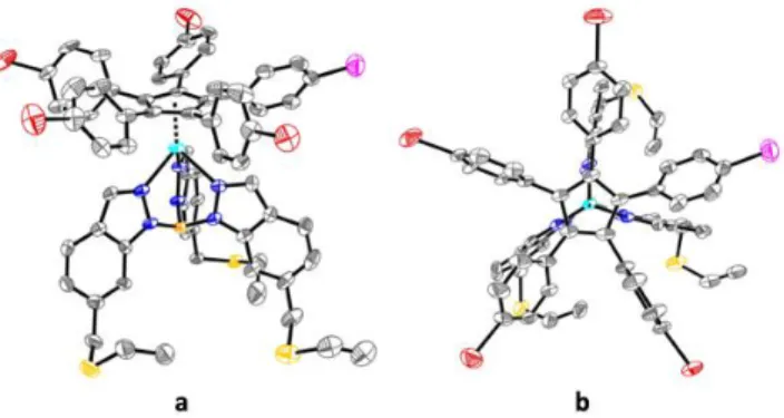 Fig.  2  Side  view  (a)  and  top  view  (b)  of  the  molecular  structure  of  ruthenium  complex  1