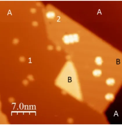 Figure 4: STM image after adsorption of PC molecules on a Ag(111) surface (A areas) partially covered by a bilayer of NaCl (B area) (V bias =1.5 V, I=1 pA, T=4.5 K)
