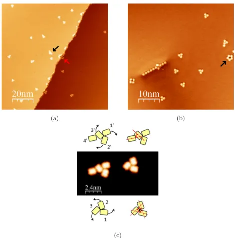 Figure 2: STM images of PC molecules (a) 100 nm x 100 nm (b) 50 nm x 50 nm (V bias =2 V, I t =2 pA, T=4.5 K) (c) 12 nm x 12 nm STM image (V bias =-1.5 V, I t =2 pA, T=4.5 K) of two molecular assemblies with their schematic representation respectively above