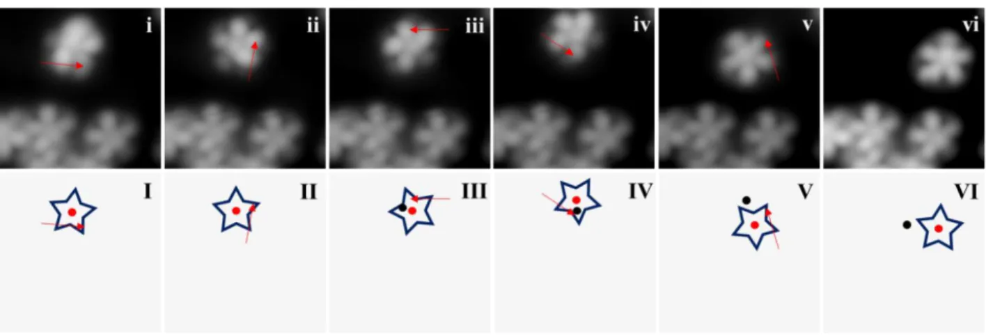 Figure  4.  Non-concentric  rotation  of  a  single  molecule-gear  1.  Red  arrows  indicate  the 