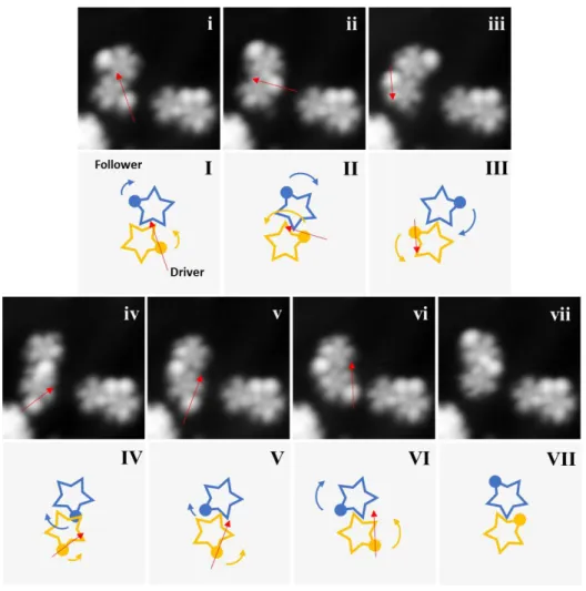 Figure  6.  Stepwise  collective  rotational  sequence  between  two  single  molecule-gears  2