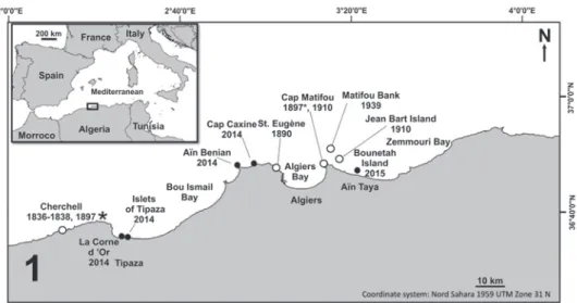 Fig. 1. Locations with collection dates of Cystoseira michaelae Verlaque et al., nom. et stat