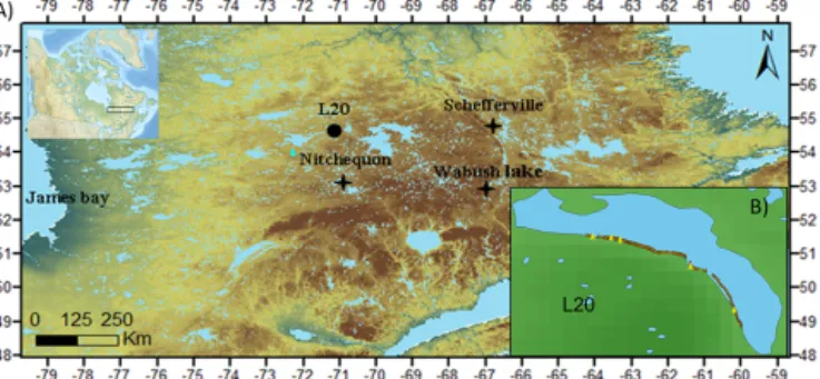 Figure 2. Illustration of the sampling strategy. From year 1000 to 2006, cohorts are represented in red for subfossil stem segments (C0-C11), and in green for living trees (CV)
