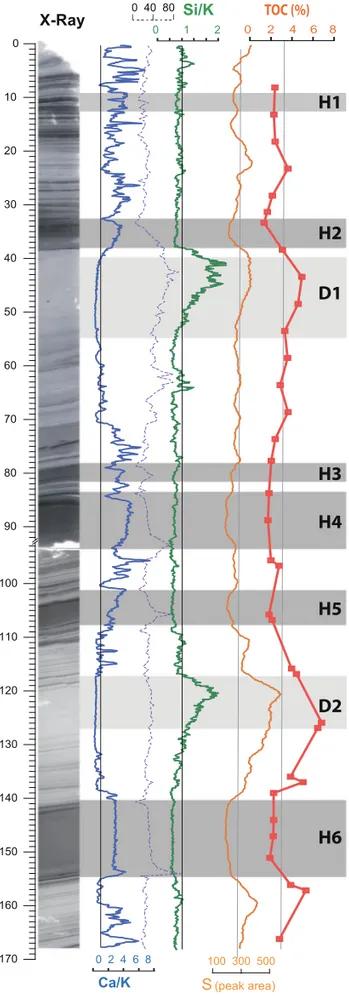 Fig. 6 Hydrogen Index versus Oxygen Index diagram for core VEN09P3 sediments. Samples from the H and D layers are circled