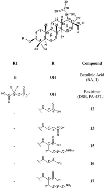 Fig. 1. The structure of the betulinic acid (BA, 1), bevirimat (2) and derivatives containing a dimethyl group at the C-3 position and various hydrophilic  sub-stituents at the C-28 position