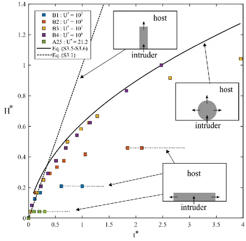 Figure 4: Evolution of the height,  H * , of the intruded volume as a function of the dimensionless  32 