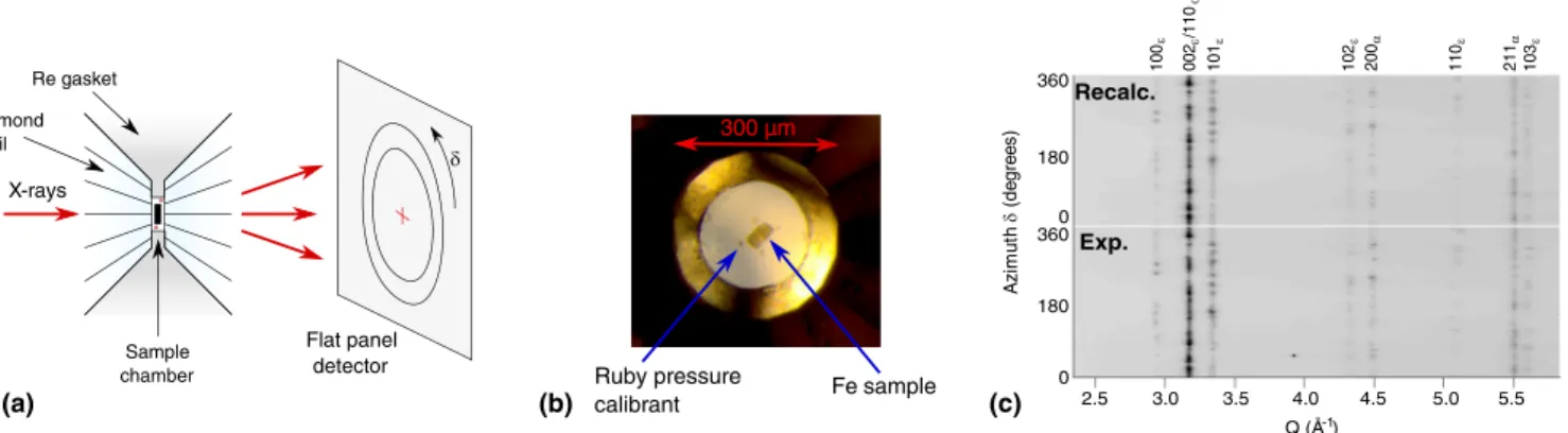 FIG. 3. (a) Experimental setup. The sample chamber is drilled in a rhenium gasket and compressed between two diamond anvils
