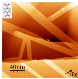 Fig. 1 STM image of a Ag(111) surface after deposition at room temper- temper-ature of TPA molecules (V bias =0.6 V, I=2 pA, T=77 K)