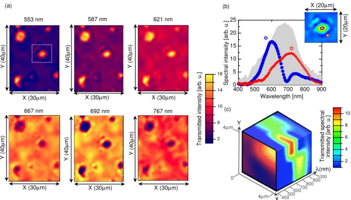 Figure 5: HSI analysis in transmission. (a) Some chosen monochromatic images of an array ( 30µm by 40µm ) of polygons