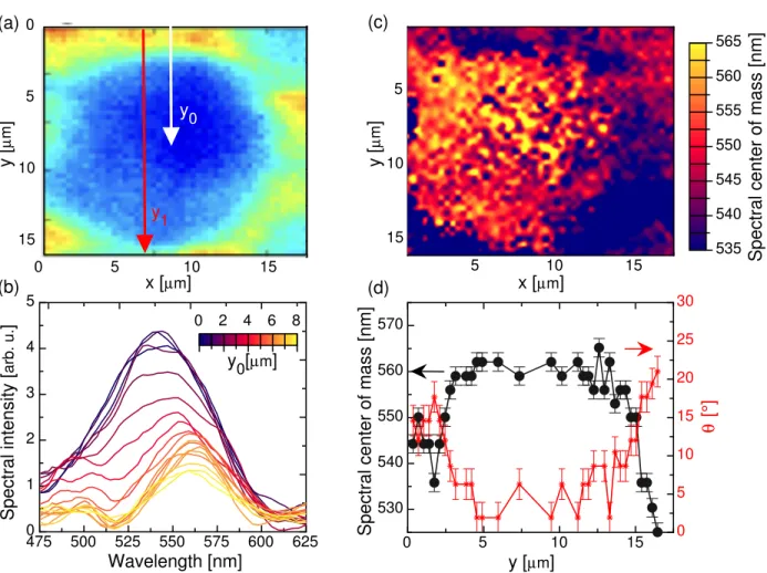 Figure 7: HSI analysis in reflection (a) Zoom on a large polygonal structure registered with the full white light spectrum (400nm-1000nm) and plotted in false colors