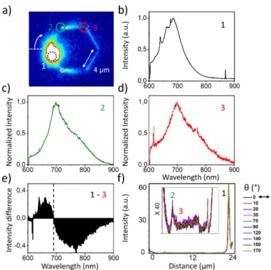 Fig. 2 (a) Leakage luminescence image of the SP signal propagation in two-dimensional gold flake integrated over the entire NV − spectrum.