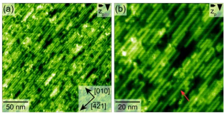 Figure S1. AFM images of stripe-like structures formed by 3-EBA on calcite (10.4) upon  heating at 550 K  for 10  hours (a)