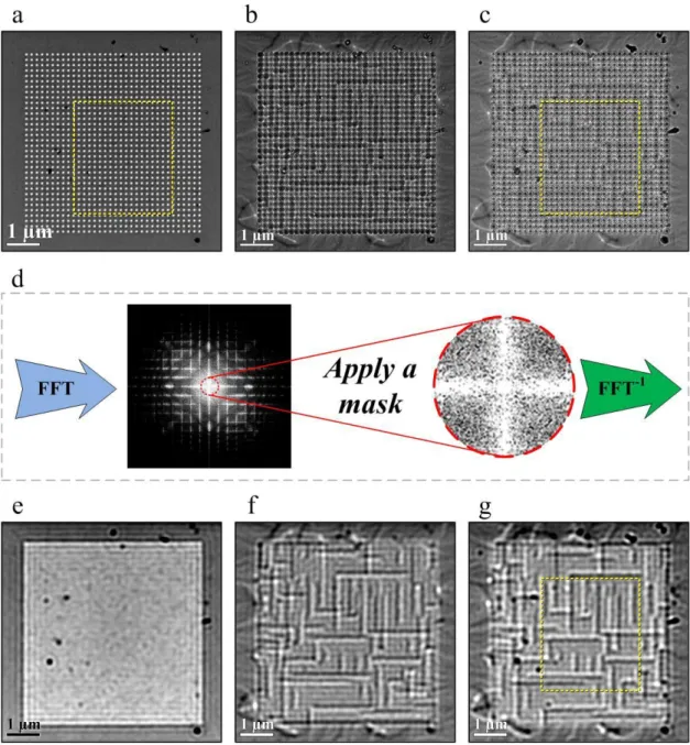 Figure 4. Focal series LM images of the cobalt antidot array with p = 160 nm: (a) in-focus, (b)  over-focus,  and  (c)  under-focus  condition