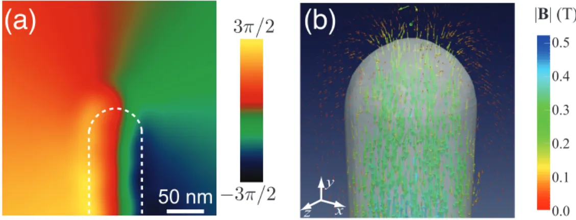 Figure 2: (a) shows the experimentally recovered magnetic phase shift from a Ni nanowire