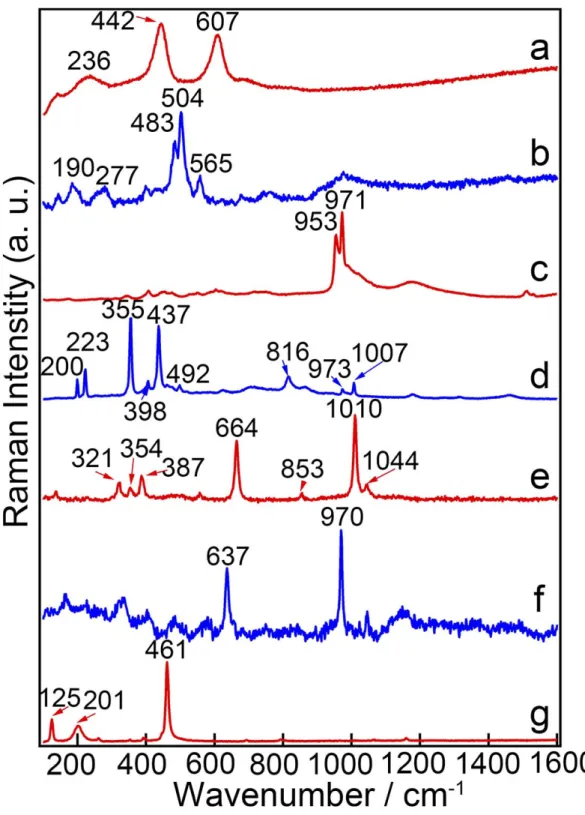 Fig.  4  Raman  spectra  recorded  in  the  crystalline  zone  of  the  glazes:  (a)  rutile,  (b)  glassy  silica  and  anorthite,  (c)  calcium  phosphate,  (d)  zircon,  (e)  glassy  silica  and  dioposide,  (f)  glassy  silica  and  wollastonite, (g) g