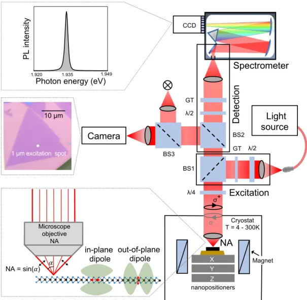 FIG. 3: Description of a typical microscope for optical spectroscopy: Micro-photoluminescence and reflectivity set- set-ups have to fulfill several key criteria: High spatial resolution for sample mapping and accessing specific sample areas, high detection