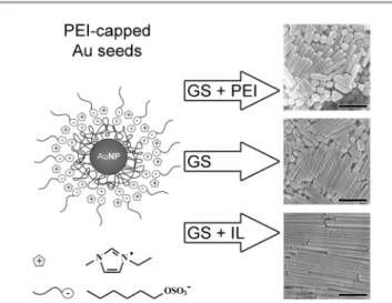 Fig. 1 Gold nanorods of AR varying between 5 (top) and 20 (bottom) are obtained from 5 nm PEI-capped Au seeds produced in pure emimHexSO 4 IL by changing the proportions of PEI and IL added to the aqueous CTAB-containing growth solution (GS)