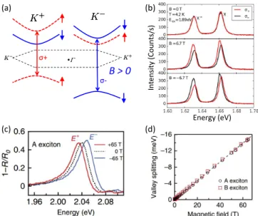 FIG. 8 (a) Schematic of Zeeman shifts in magnetic field B perpendicular to the monolayer plane