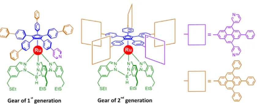 Figure 10. Evolution of ruthenium-based molecular gears: from 1D arms (1 st  generation) to 2D paddles  (2 nd  generation)