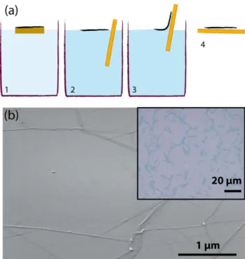 Figure 3. (a–c) SEM images of graphene layers deposited on textures composed of tapered cones with flat tips,  grooves, and tapered cones with sharp tip, respectively; (d) AFM image of graphene layer on a conical texture  where the white line represent a c