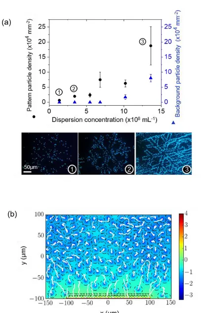 Figure  S6  shows  the  1µm  normalized  pattern  and  background  particle  densities  of  assemblies  made by  convective  nanoxerography  at  different  concentrations  from   0 /5  to  2 0