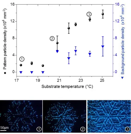 Figure S7. 1 µm latex particle pattern and background densities as a function of the stage temperature  and fluorescent optical microscopy images of numbered assemblies
