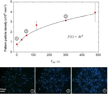 Figure S8. Pattern particle density as a function of the static contact time t sc  before the 500 nm latex  dispersion drop dragging and fluorescent optical microscopy images of numbered assemblies