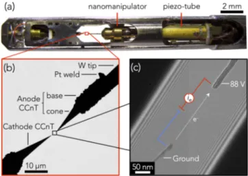 FIG. 1. (a) Front part of the TEM in situ biasing holder, with the nanomani- nanomani-pulator, driven by a piezo-tube