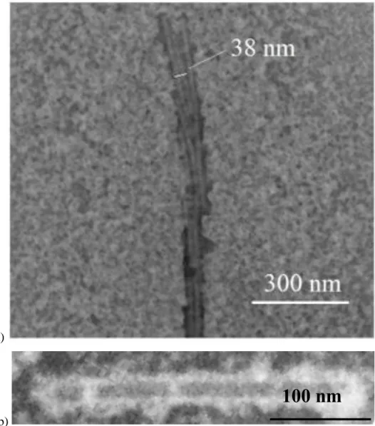 Fig. 7. STEM micrographs of TMV deposited on SiO grid stained with IL HMIMI.  a) Parallel  TMV lines