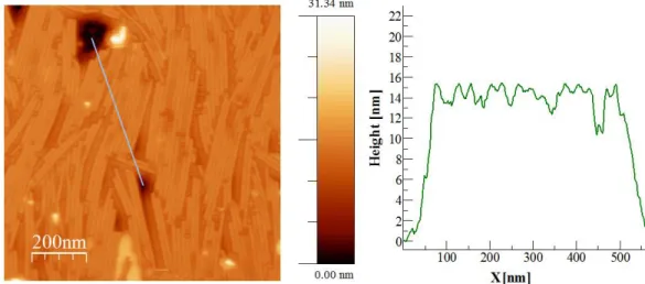 Fig. S5. Left. Topography picture of TMV pattern covered with hydrophobic EMIMFSI. Left  profile define on the left