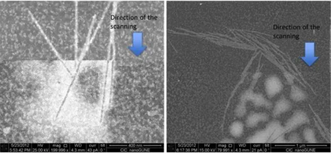 Fig. S7. STEM micrograph (contrast inverted) of TMV arrays covered with HMIMI  and scanned  for a second time