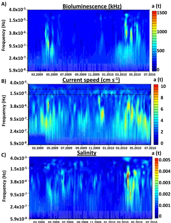 Figure 7: Spectral representation using HHT and thin-plate spline smoothing for A) bioluminescence, B) current speed and C) salinity from January 2009 to July 2010