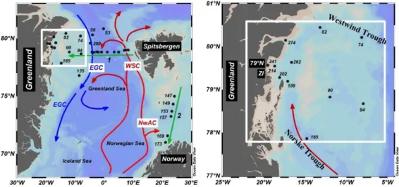 Fig.  1.  (a)  Schematic  view  of  oceanic  circulation  in  the  Nordic  Seas,  the  Fram  Strait and the BSO