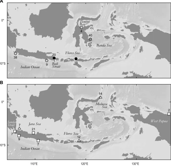Fig. 1. Map of the Indo-Malay-Papua archipelago with sampling sites for three stingray species