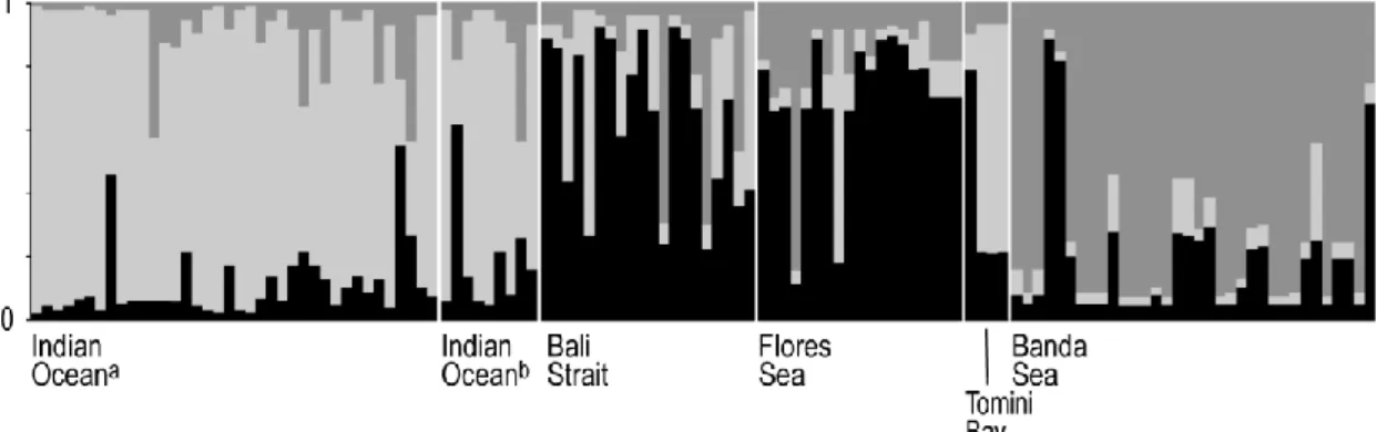 Fig. 4. Neotrygon kuhlii. Output of Bayesian structure analysis (STRUCTURE: Falush et al., 2007) with K=3  populations, on individual genotypes at 4 presumptive intron loci for 6 samples from the Indo-Malay-Papua  archipelago (Supplementary material, Table