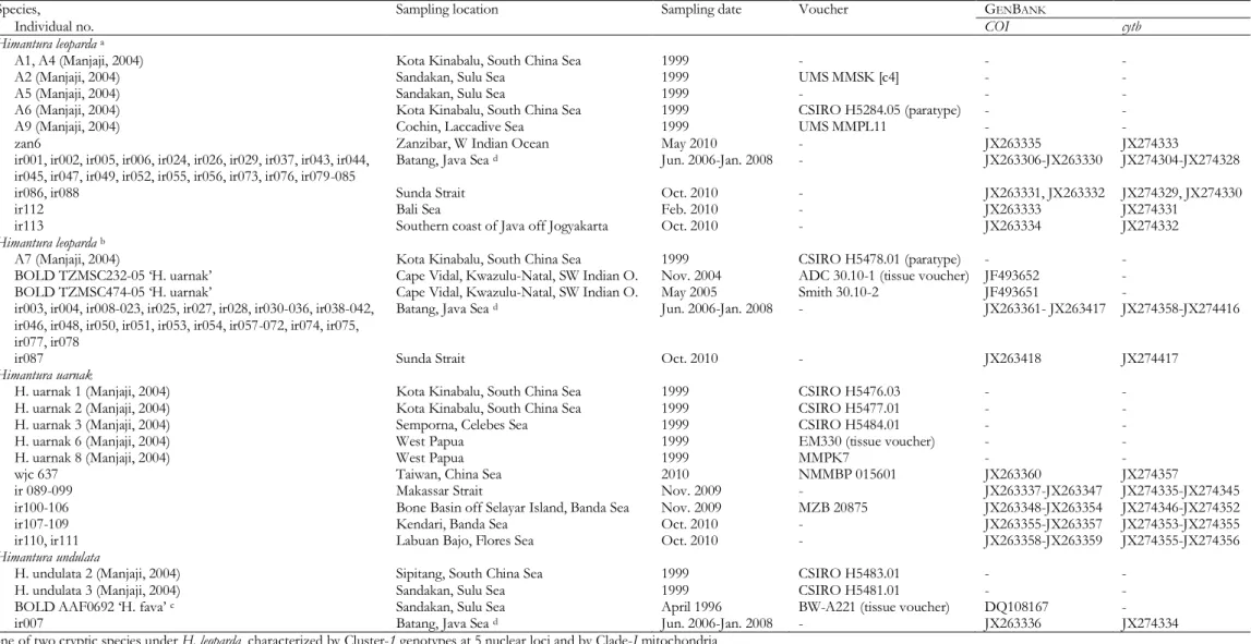 Table 1  List of samples of the Himantura uarnak species complex used in the present study, with sampling location, voucher specimen numbers and G EN B ANK  accession numbers