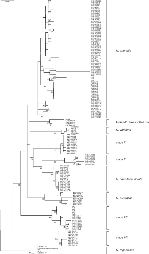 Fig. S2  Maximum-likelihood phylogeny [M EGA 6 (Tamura et al. 2013); Tamura-Nei model (Tamura &amp; Nei  1993) with gamma-distributed rate differences among sites, invariable sites allowed; partial deletion] 