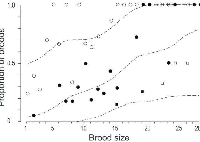 Figure 2. Hypothenemus hampei. Proportion of  broods with at least 1 male (open circles), 2 males  (full circles), 3 males (open squares) and 4 males (full squares), plotted as a function of mature  brood size