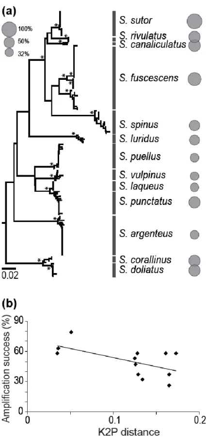 Fig. 1  Amplification success of the new set of 19 microsatellites in 13 Siganus species