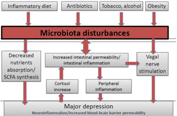 Figure 1. The gut–brain axis in major depression. 