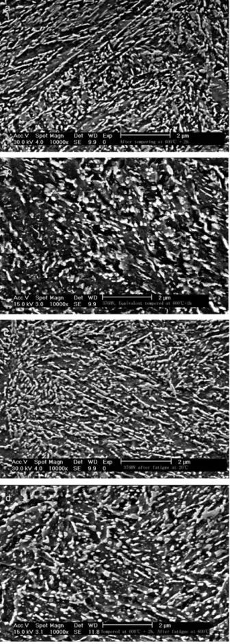 Fig. 11. SEM image of the population of iron carbides after: (a) a tempering at 600 !C for 2 h (376HV), (b) a tempering at 600 !C for 2 h and ageing at 600 !C for 1 h, (c) a tempering at 600 !C for 2 h and fatigue at 20 !C, (d) a tempering at 600 !C for 2 