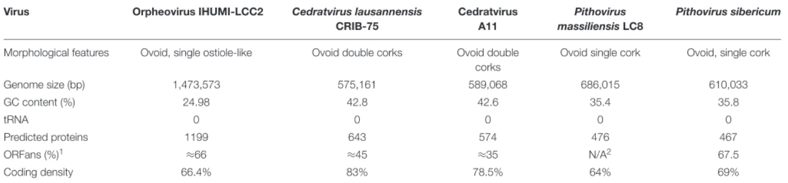 TABLE 1 | Main genomic characteristics of Orpheovirus and other closely related viruses.