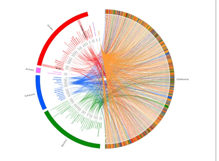 FIGURE 3 | Best hit schema obtained for Orpheovirus IHUMI-LCC2 against the non-redundant database.