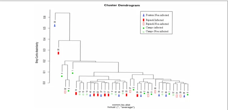FIGURE 6 | Hierarchical cluster dendrogram based on Bray-Curtis Index values, showing the relationship between different samples (represented by numbers) and foci